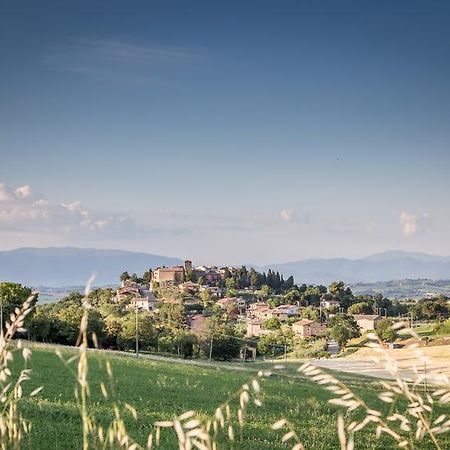 Domus In Castro Bed & Breakfast Montecchio  Luaran gambar